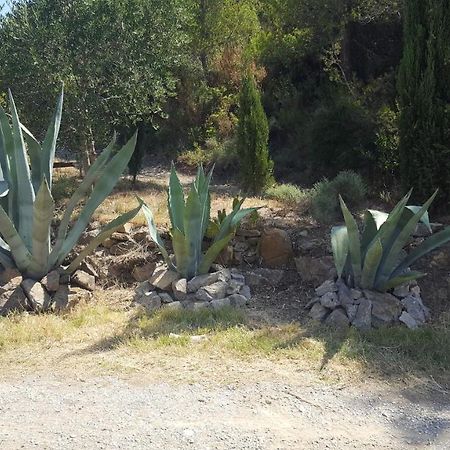 La Loubiere, Ancienne Bergerie En Pleine Garrigue Bed & Breakfast Fraisse-des-Corbieres Ngoại thất bức ảnh