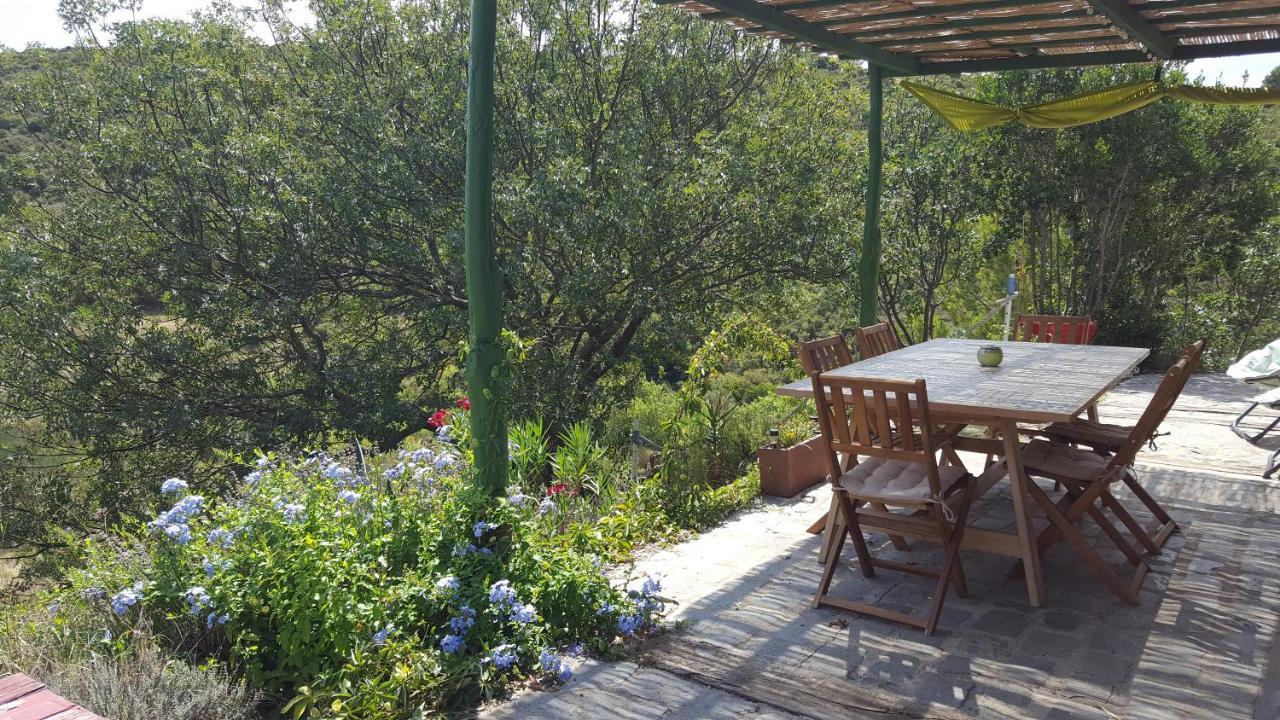La Loubiere, Ancienne Bergerie En Pleine Garrigue Bed & Breakfast Fraisse-des-Corbieres Ngoại thất bức ảnh