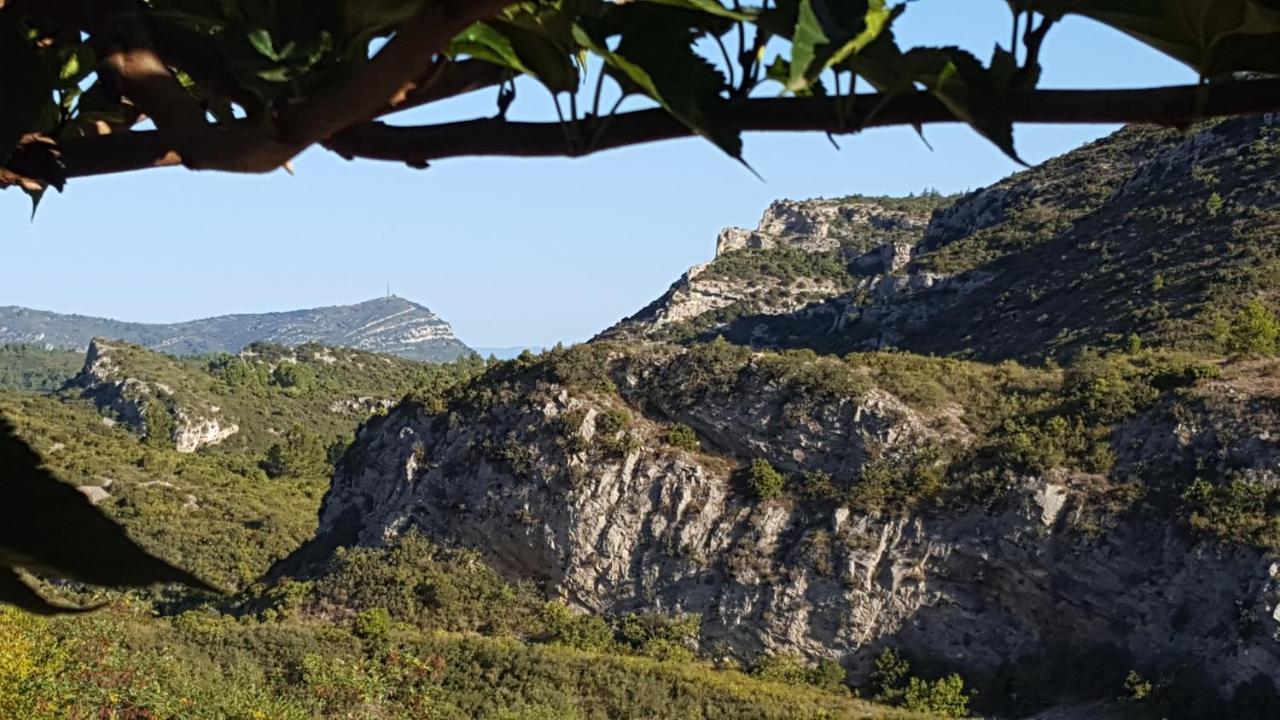 La Loubiere, Ancienne Bergerie En Pleine Garrigue Bed & Breakfast Fraisse-des-Corbieres Ngoại thất bức ảnh