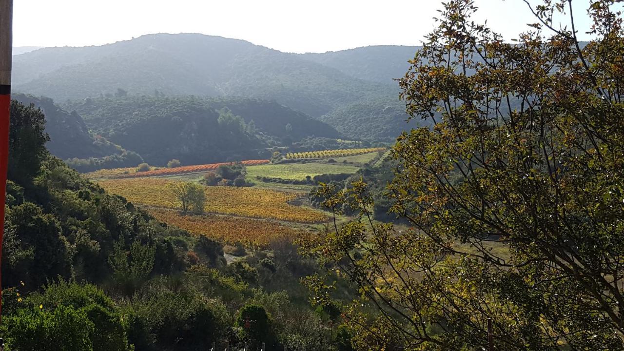 La Loubiere, Ancienne Bergerie En Pleine Garrigue Bed & Breakfast Fraisse-des-Corbieres Ngoại thất bức ảnh