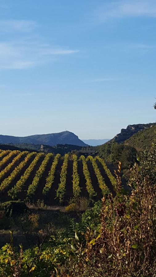 La Loubiere, Ancienne Bergerie En Pleine Garrigue Bed & Breakfast Fraisse-des-Corbieres Ngoại thất bức ảnh