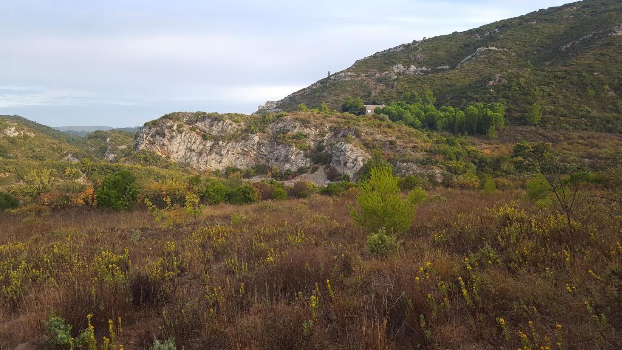 La Loubiere, Ancienne Bergerie En Pleine Garrigue Bed & Breakfast Fraisse-des-Corbieres Ngoại thất bức ảnh