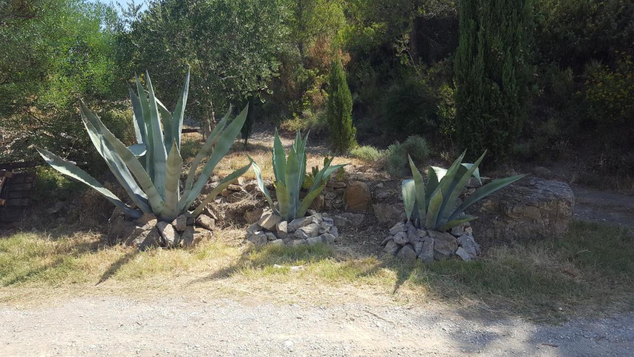 La Loubiere, Ancienne Bergerie En Pleine Garrigue Bed & Breakfast Fraisse-des-Corbieres Ngoại thất bức ảnh